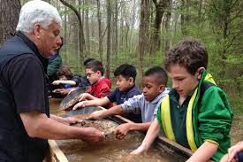 Jun 02, 2021 · pan for gold in shallow areas of rivers and streams. Gold Panning Rivers Where You Can Still Find Gold Lovemoney Com