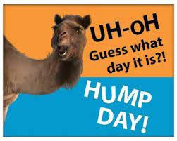 A camel distracts people working in the office, because it's a hump day. Geico Commercials Quiz Geico Living