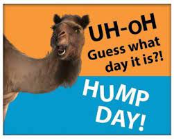Voiceover artist also does commercials for jack daniel's, snickers, hilton and budweiser. Geico Commercials Quiz Geico Living