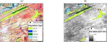Image result for Eriocephalus luederitzianus