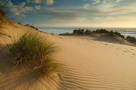 Discover Devon At Www Absolutedaysout Com Saunton Sands Devon Pictures Of Beautiful Places British Beaches South West Coast Path