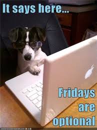 16 Pups Ready For Take Your Dog To Work Day Friday Dog Dog Quotes Funny Funny Dog Memes