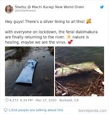 30 Funny Posts Of "Wildlife Returning' To Nature As Humans Are ...