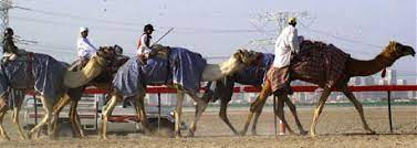 Traffickers take people from one area of a country to another or across borders, and when they arrive, they force their victims into exploitation. Human Trafficking Human Trafficking Reports Uae Abudhabi Satan S Kingdom Child Jockeys Camel Jockeys Human Traffickers Camel Jockeys Uae Camel Jockey Child Jockeys Camel Kids Camel Races Uae Rulers Human Rights Abu Dhabi