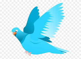 Download for free in png, svg, pdf formats 👆. Blue Bird Clipart Gallery Images Bird Singing Clipart Stunning Free Transparent Png Clipart Images Free Download