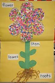 Mrs Lee S Kindergarten Spring And Plants Spring Activities Spring Preschool Spring Kindergarten