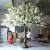 Rustic Wedding Ideas