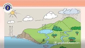 Kisah rusa muda dan serigala pada suatu hari, kawanan rusa terlihat merumput di padang yang luas dan subur. Lengkap Kunci Jawaban Halaman 8 10 13 14 Tema 8 Kelas 5 Buku Siswa Tematik Sd Pembelajaran 2 Pojok Edukasi