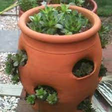 Chicken hen metal plant pot garden home ornament bird flower holder planter. Pin By Cassandra Nabti On Gardening Strawberry Pot Hen Chicken Hens And Chicks Planter