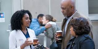 Sur cette page, vous avez la possibilité de voir grey's anatomy saison 17 épisode 6 en streaming gratuit français. Regarder Grey S Anatomy Saison 14 Episode 15 En Streaming Betaseries Com