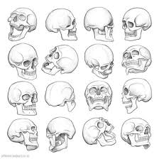 Skull Drawing Tutorial Skulls Drawing Skull Drawing Skull Sketch