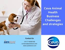 Latest Market Research Reports On Top Industries Aarkstore Com Health Business Business Challenge Marketing Tactics