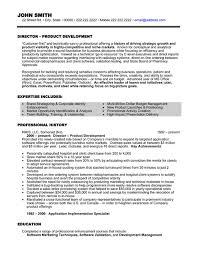 View the examples below to get ideas of writing an excellent project manager summary. Top Project Management Resume Templates Samples