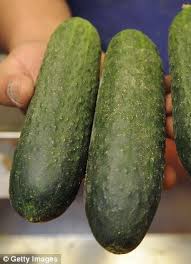 We did not find results for: Half Of British Youngsters Cannot Distinguish Between A Cucumber And A Courgette Daily Mail Online