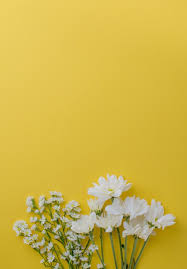 We did not find results for: Wallpaper Flower Aesthetic Yellow Background Hd Wallpaper