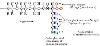 Illustration Of The Interaction Of The Carboxyl Terminal Lysine Residue Download Scientific Diagram