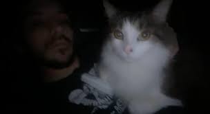 Jordan Aaron Medeiros (@weazulll) • Threads, Say more