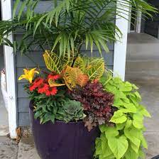 Flowers and butterflies/acrylic painting /. Late Summer Early Fall Planter Fall Planters Fall Container Gardens Fall Flower Pots