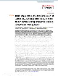 Image result for Kohautia microflora