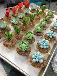 Now the real question is how are you going to plate them and how are you going to serve them? Gorgeous Succulent Cupcakes For A Special Order Today Everyone Please Go Follow Us On Instagram Our Username Is Ch Succulent Cake Succulent Cupcakes Desserts