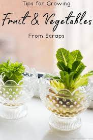 Tips For Growing Fruit And Vegetables From Scraps Growing Fruit Growing Vegetables Homegrown Food