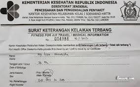 Kamu bisa melakukannya ketika usia kehamilan beranjak 14 minggu hingga 27 minggu. Cerita Mendebarkan Bumil Naik Pesawat Welcome To Limaura Com