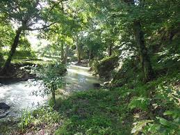 Universo El Periodico De Los Universitarios