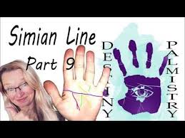 Double simian line personality types and quotes part 5. Pin On Simian Lines