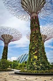 Singapur Vertikaler Garten Garten Pflanzen Bepflanzung