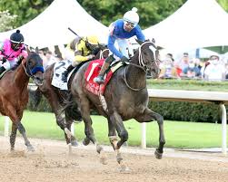 Legal & secure online horse betting. Kentucky Derby Horses 2021 What To Know About Super Stock