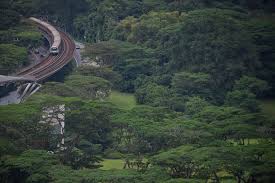 It was a good challenege to make something different. Nature Groups Oppose Zoning Of Dover Forest In Ulu Pandan For Residential Use Environment News Top Stories The Straits Times
