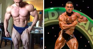 What is the education of tom stoltman? Auch Cody Montgomery Wechselt In Die Classic Physique Gannikus De