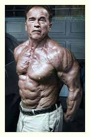 To Be Or Not To Be Not To Be Arnold Schwarzenegger When It Comes To Straightforward Fitness Workout Routines You Do Not Actually Have To Venture To A Arnold Schwarzenegger Bodybuilding Bodybuilding Motivation