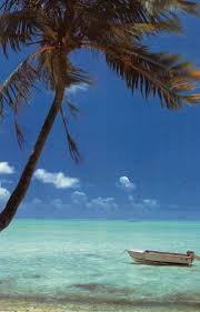 ✓ free for commercial use ✓ high quality images. Pin On Our Amazing Posters