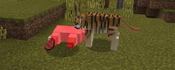 Tiger Add On For Minecraft Pe 1 2 0 7 Mcpe Box Minecraft Minecraft Pe Types Of Animals