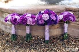 Choosing purple as your wedding color will create a mood of individuality, mystery and fantasy. Pin By Dishka Melkaya On Indigo Plum Vineyard Wedding Colors Purple Wedding Flowers Purple Carnation Bouquet Purple Bouquets