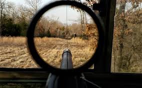 Check spelling or type a new query. Vortex Optics Razor Hd Gen Ii E 1 6x24 Second Focal Plane Riflescopes Hunting Fishing Shooting Olharcidadao Com Br