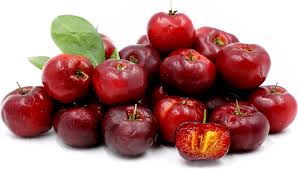 Check spelling or type a new query. Barbados Cherry Aceorla Guyana Cherry Tree