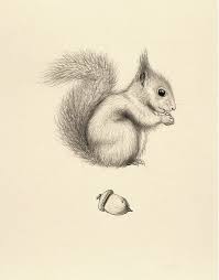 Pin By Joyce Strickland On Baby K Part Deux Animal Drawings Squirrel Art Squirrel Tattoo