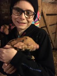 My husband brought home 2 pigs exactly 2 weeks ago. The surprise gift was  not what I had expected! I had just arrived home in the morning after  having my appendix removed