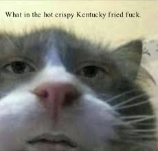 How kentucky fried chicken is made (from unwrapped) | food network. What In The Hot Crispy Kentucky Fried Fuck