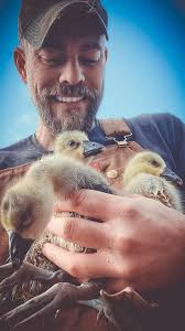 The Wild Initiative（@thewildinitiative）• Instagram 相片與影片