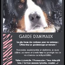 Les meilleures offres à partir de € 4. Promenade Garde D Animaux Chien Chat A Limoges Votre Pet Sitter Sur Aladom