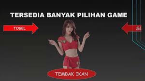 Https Totohk6d Com Merupakan Keluaran Hk Data Nomor Togel Hongkong Tercepat Dan Terakurat Youtube
