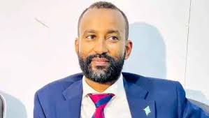 Somalia's president slides country back to civil war era, says MP