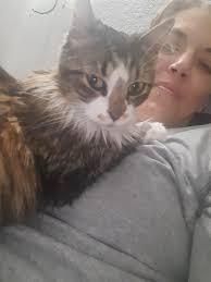 Lost Cat Found in Beavercreek After 3 Months