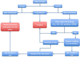 Adrenal Adenoma Cancer Therapy Advisor