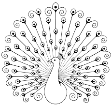 A Swirly Peacock Peacock Coloring Pages Peacock Drawing Peacock Pictures It's easier than you might think when you break it down colour by colour. peacock drawing