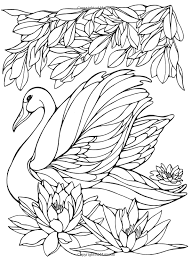 Pin By Leah Burnes On Patterns Coloring Pages And More Bird Coloring Pages Swan Painting Animal Coloring Pages
