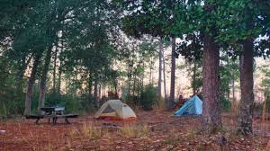 Maybe you would like to learn more about one of these? Tent Camping Florida Outdoor Basics How To Florida Hikes